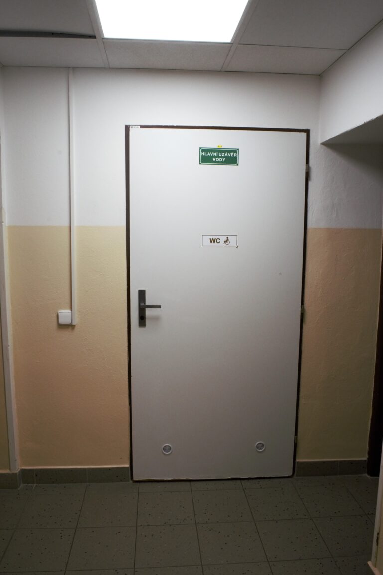 4. dveře wc suterén